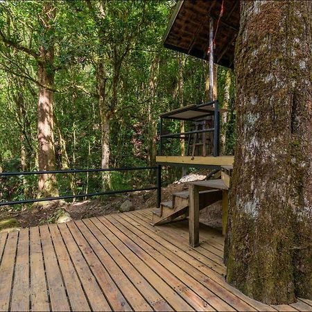 Unicorn Lodge: Direct Riverfront : Unique Experience San Gerardo de Dota Εξωτερικό φωτογραφία
