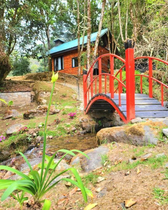Unicorn Lodge: Direct Riverfront : Unique Experience San Gerardo de Dota Εξωτερικό φωτογραφία