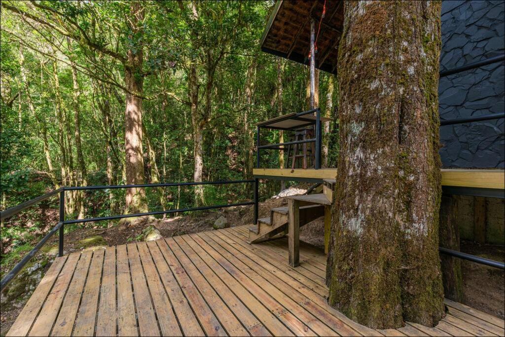 Unicorn Lodge: Direct Riverfront : Unique Experience San Gerardo de Dota Εξωτερικό φωτογραφία