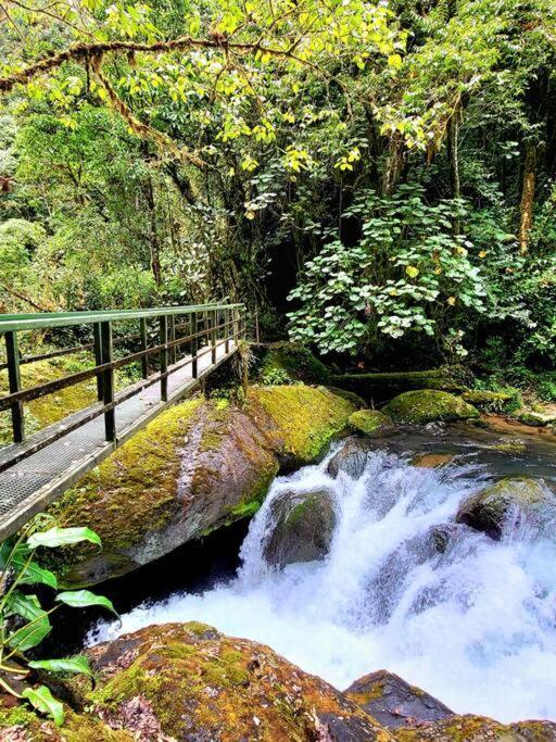 Unicorn Lodge: Direct Riverfront : Unique Experience San Gerardo de Dota Εξωτερικό φωτογραφία