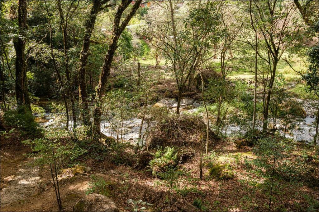 Unicorn Lodge: Direct Riverfront : Unique Experience San Gerardo de Dota Εξωτερικό φωτογραφία