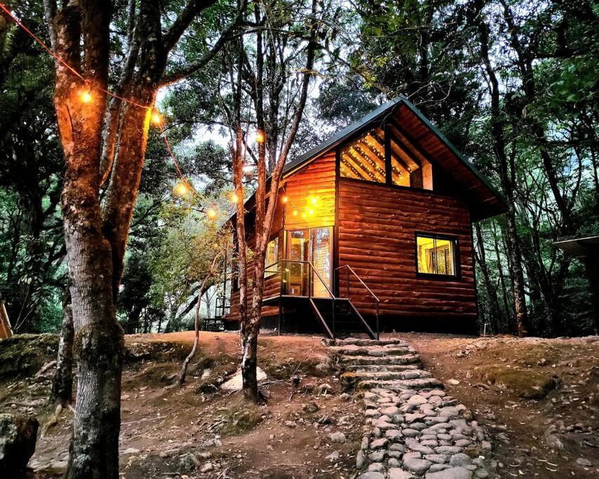 Unicorn Lodge: Direct Riverfront : Unique Experience San Gerardo de Dota Εξωτερικό φωτογραφία