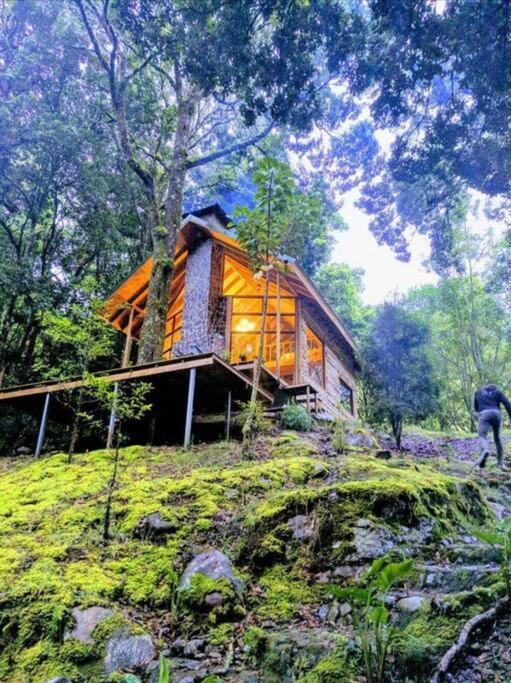 Unicorn Lodge: Direct Riverfront : Unique Experience San Gerardo de Dota Εξωτερικό φωτογραφία