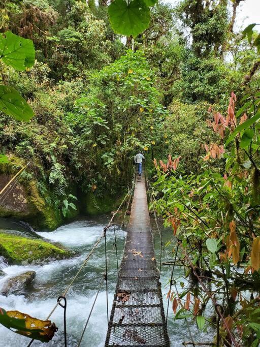 Unicorn Lodge: Direct Riverfront : Unique Experience San Gerardo de Dota Εξωτερικό φωτογραφία