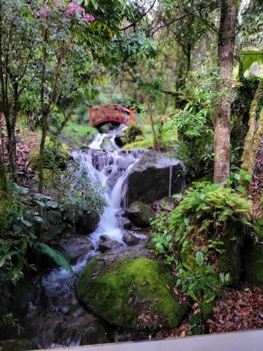 Unicorn Lodge: Direct Riverfront : Unique Experience San Gerardo de Dota Εξωτερικό φωτογραφία