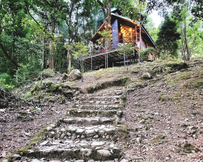 Unicorn Lodge: Direct Riverfront : Unique Experience San Gerardo de Dota Εξωτερικό φωτογραφία