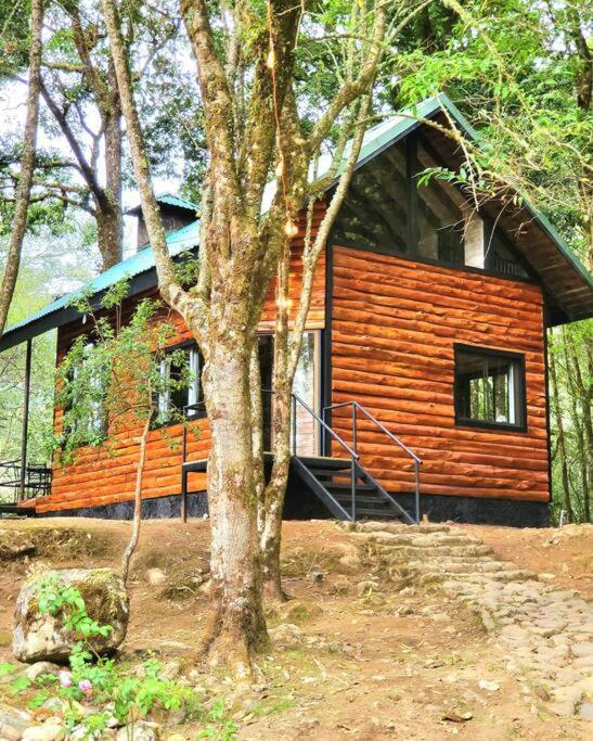 Unicorn Lodge: Direct Riverfront : Unique Experience San Gerardo de Dota Εξωτερικό φωτογραφία