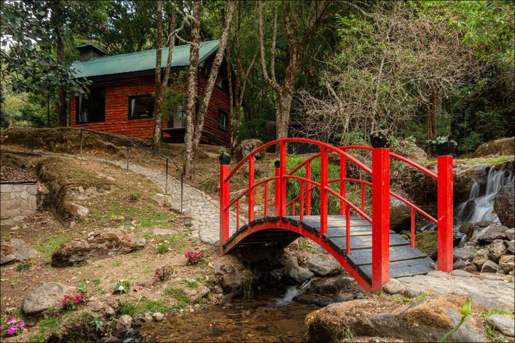 Unicorn Lodge: Direct Riverfront : Unique Experience San Gerardo de Dota Εξωτερικό φωτογραφία